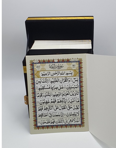 (image for) Surah Yasin [41] Kaaba Box